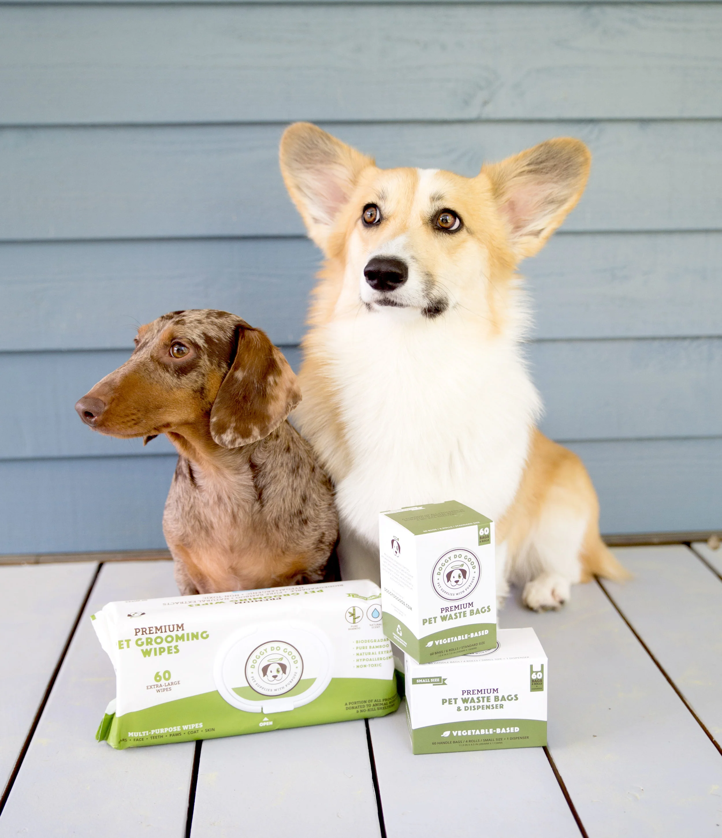 Meet the Maker Cara and David Wesch of Doggy Do Good